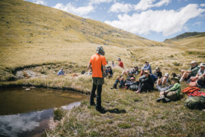 Read more about the article Botanizing in the Borland Valley: Fiordland’s best hidden gem